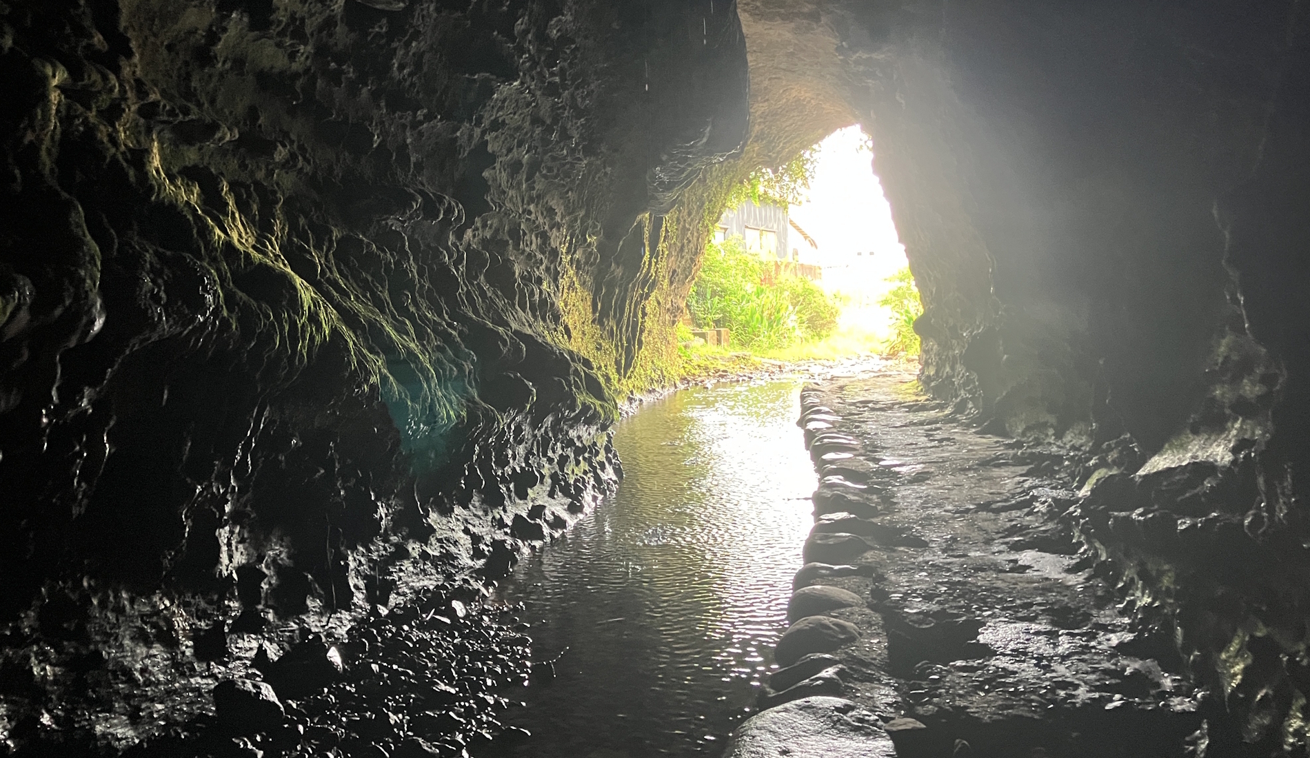 伊尾木洞の入り口と木漏れ日（高知県安芸市）