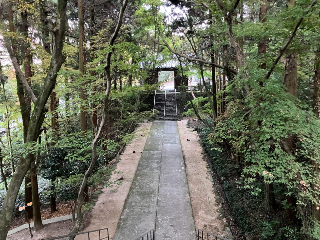 木々に囲まれた静かな参道。50代からの人生をこれからどう進むかを考えるイメージ