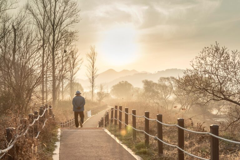 朝日の中を一人で静かに歩きながら、自分の人生について考える男性の後ろ姿